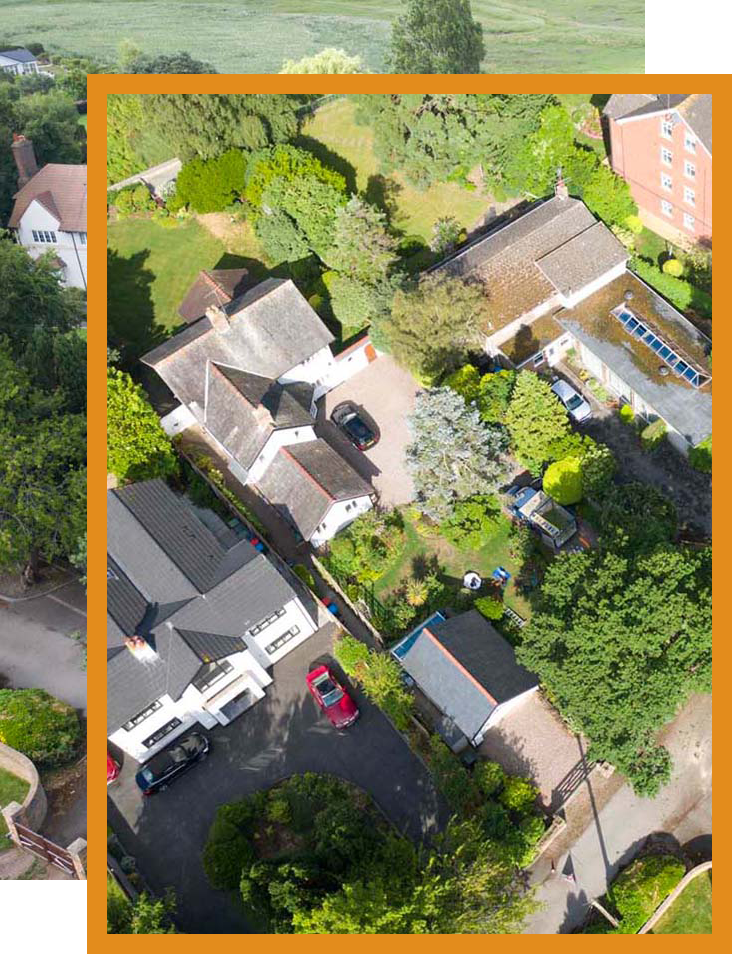 touchwood tree surgery left