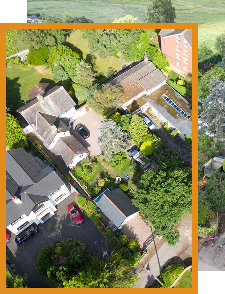 touchwood tree surgery right